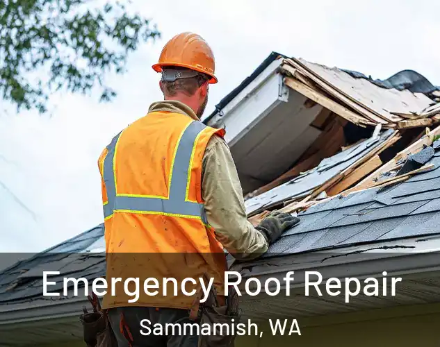  Emergency Roof Repair Sammamish, WA