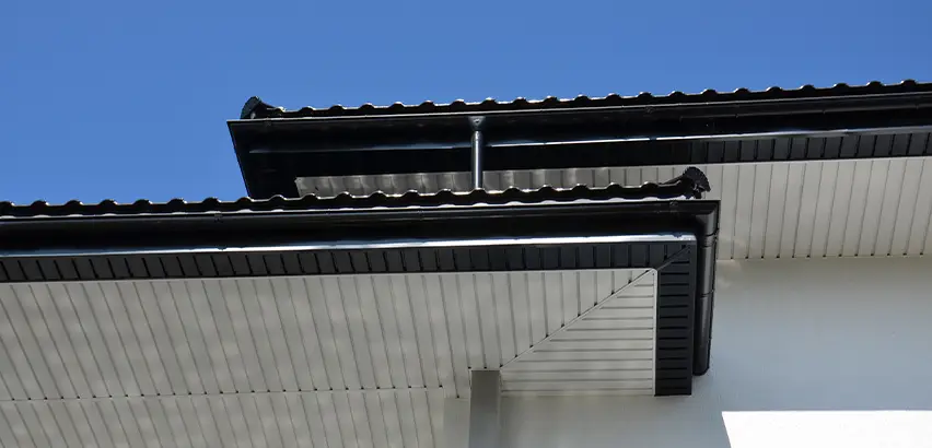 Roof Overhang Repair in Sammamish